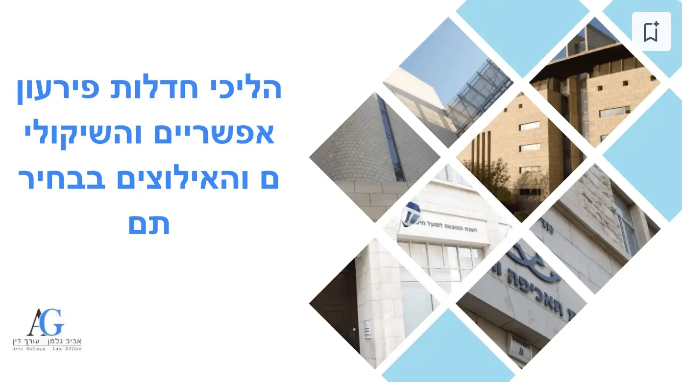 Read more about the article הליכי חדלות פירעון אפשריים והשיקולים והאילוצים בבחירתם – מצגת מעודכנת 7/2024